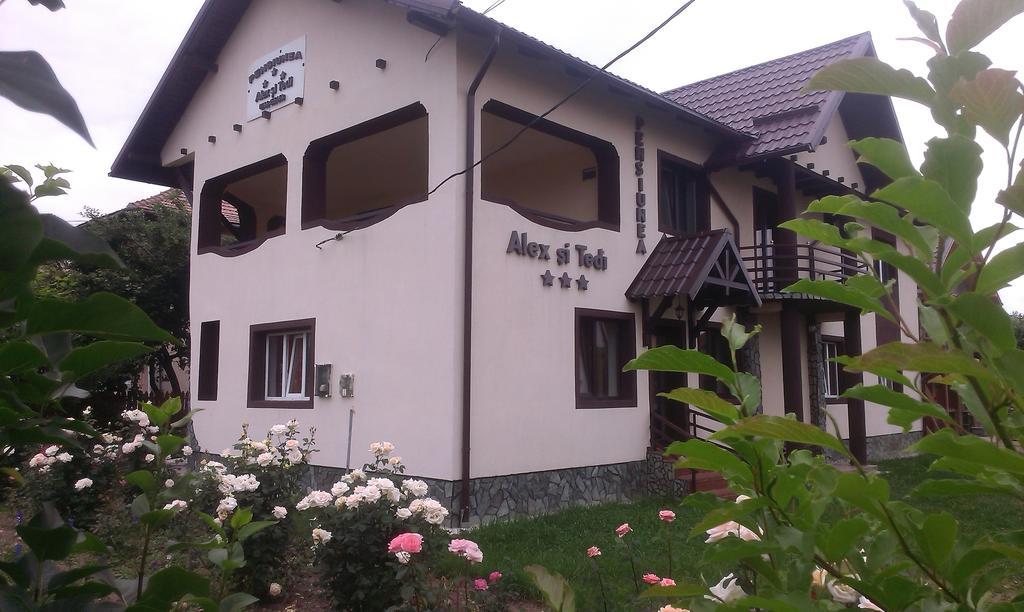 Pensiunea Alex Si Tedi Horezu Bilik gambar
