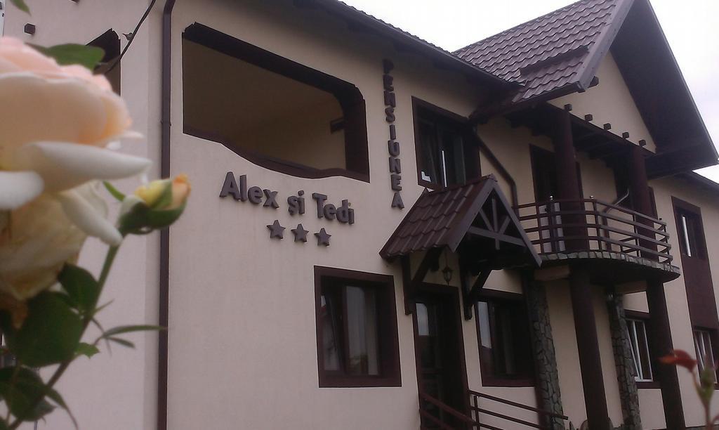 Pensiunea Alex Si Tedi Horezu Luaran gambar